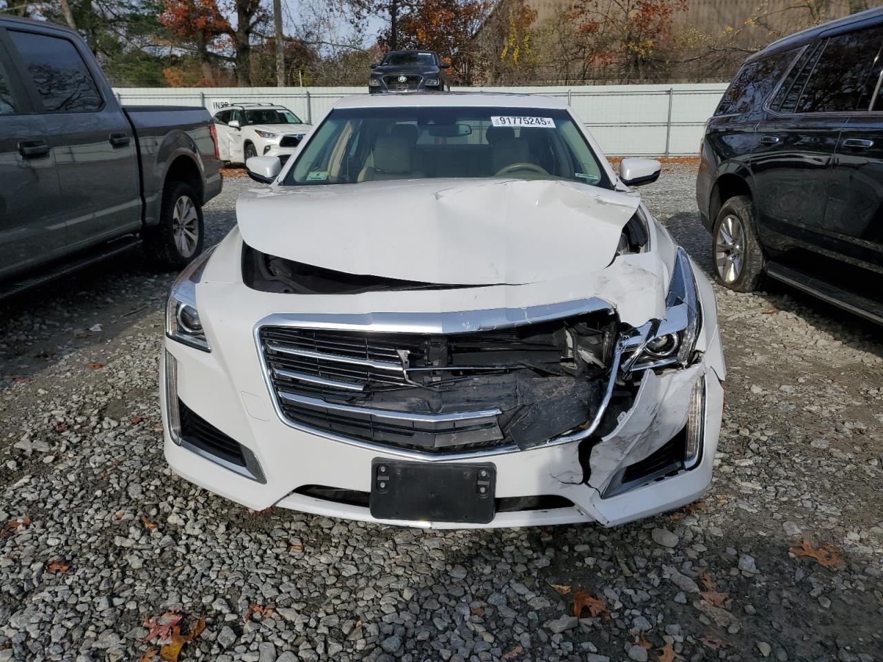 Cadillac CTS Luxury Collection Image 5