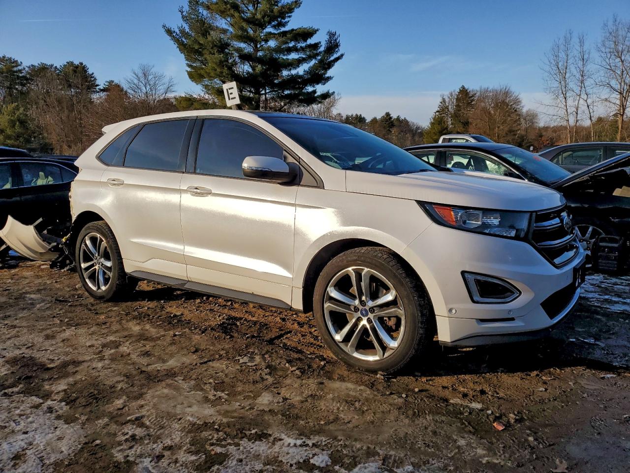 Ford Edge Sport Image 3