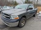 Dodge Ram 1500 Image 3