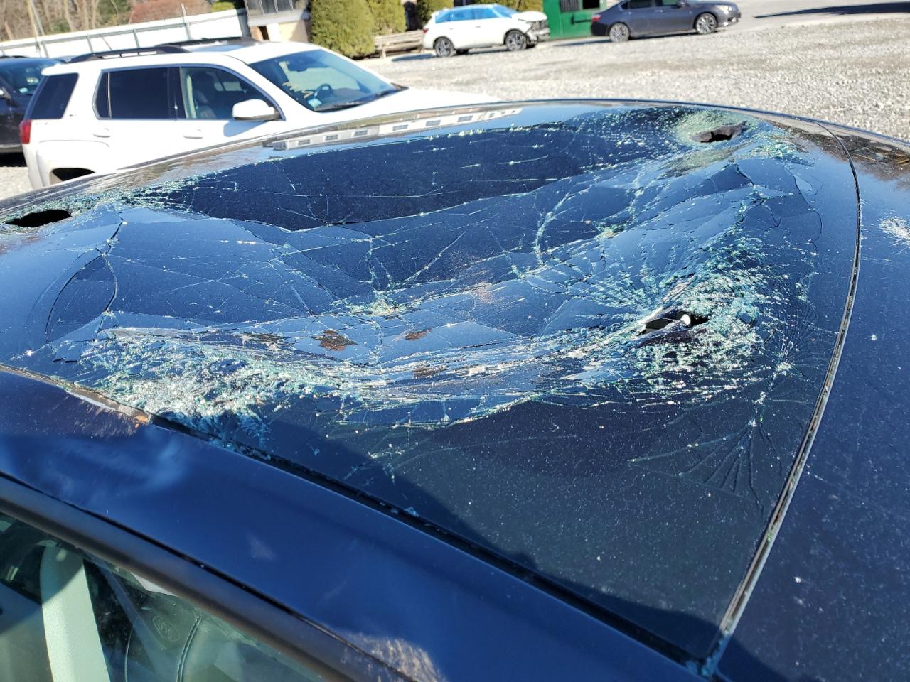 Tesla Model Y Image 6