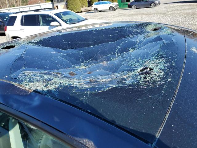 Tesla Model Y Image 6