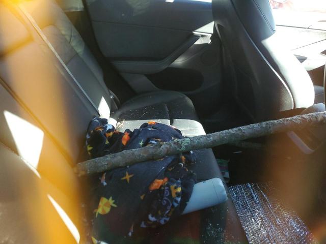 Tesla Model Y Image 13