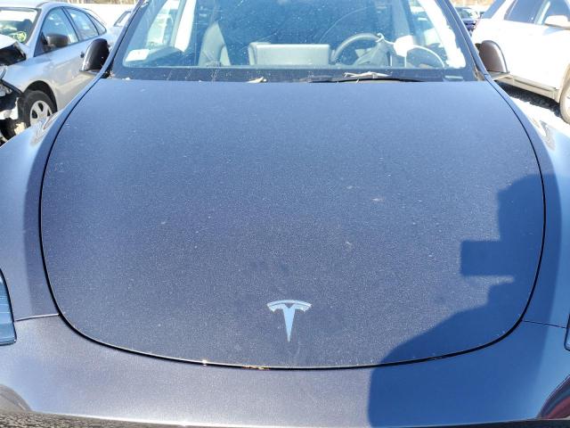 Tesla Model Y Image 2