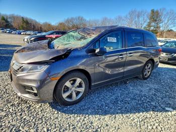  Salvage Honda Odyssey