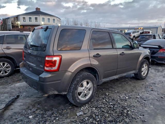 Ford Escape Xlt Image 4