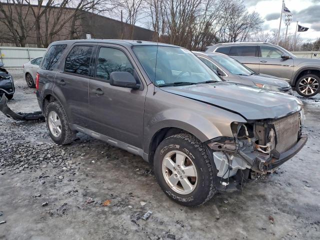 Ford Escape Xlt Image 3