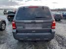Ford Escape Xlt Image 12