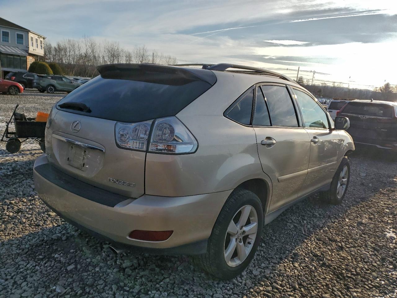 Lexus RX 330 Image 10