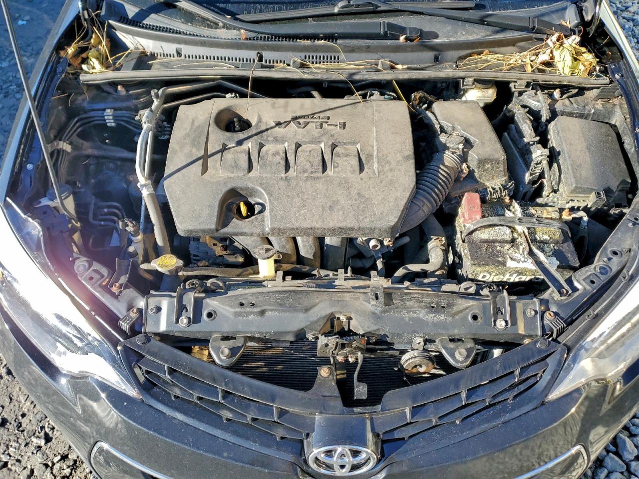 Toyota Corolla L Image 4