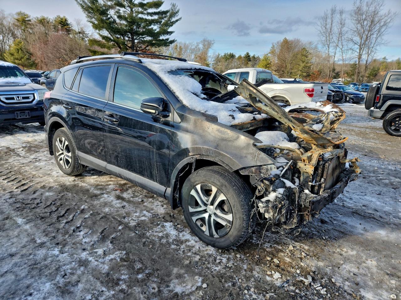 Toyota RAV4 Le Image 8