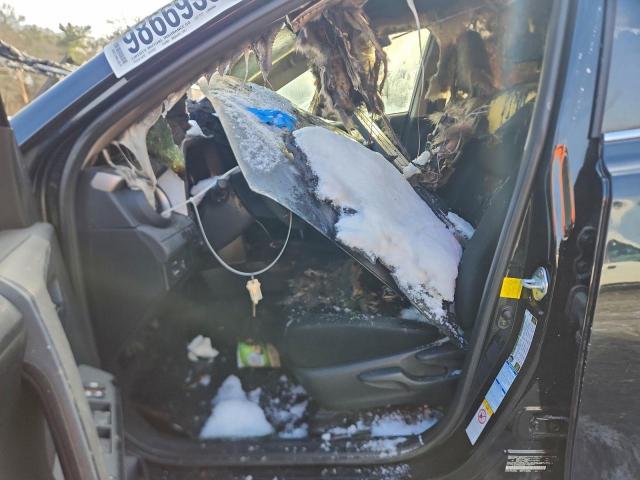 Toyota RAV4 Le Image 6