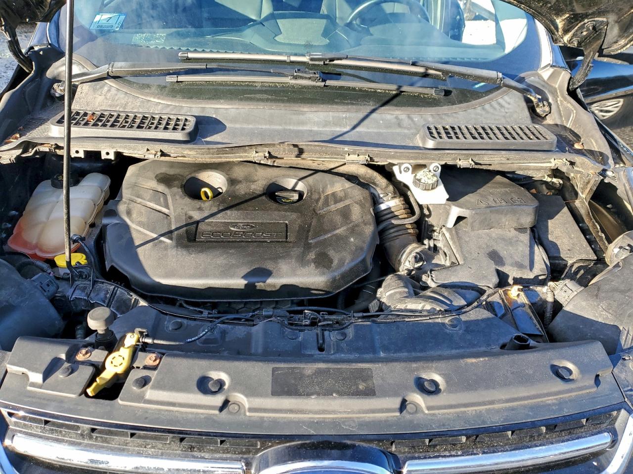 Ford Escape Titanium Image 12