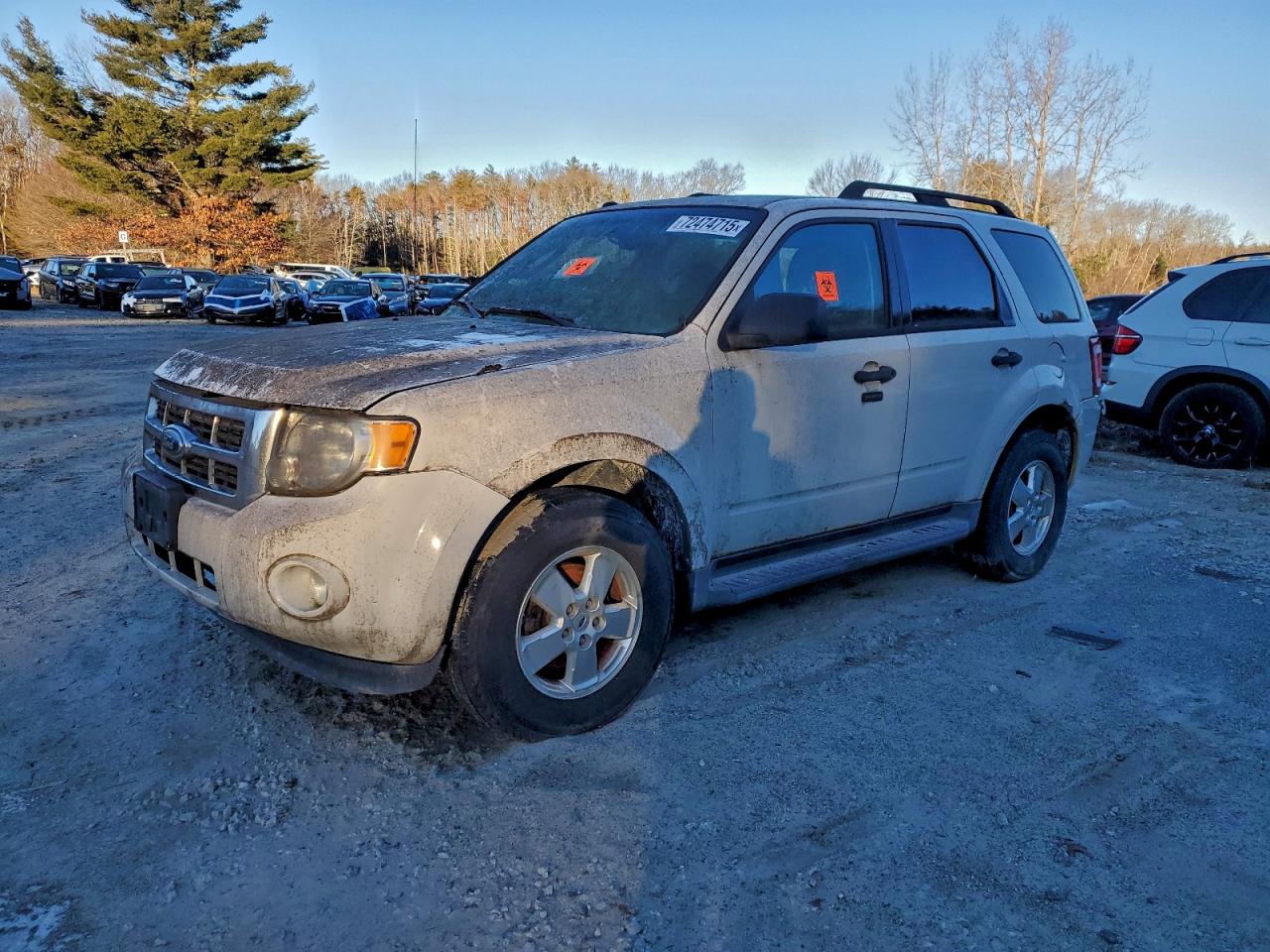 Ford Escape Xlt Image 1