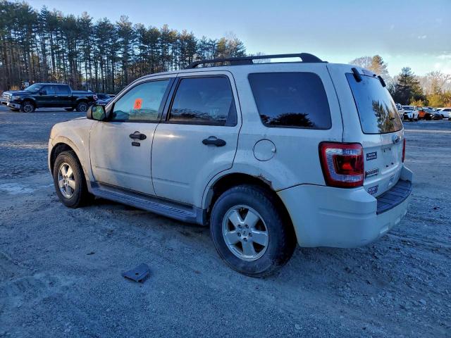 Ford Escape Xlt Image 4