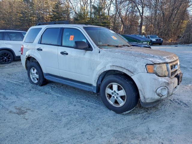 Ford Escape Xlt Image 3