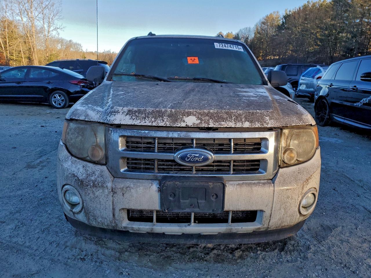 Ford Escape Xlt Image 6