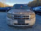 Ford Escape Xlt Image 6