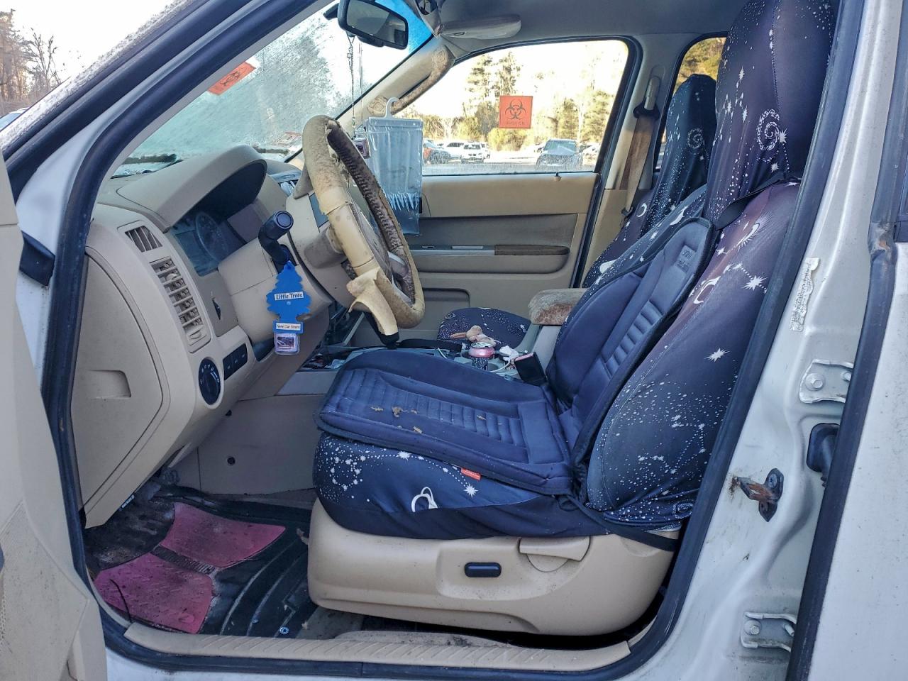 Ford Escape Xlt Image 5