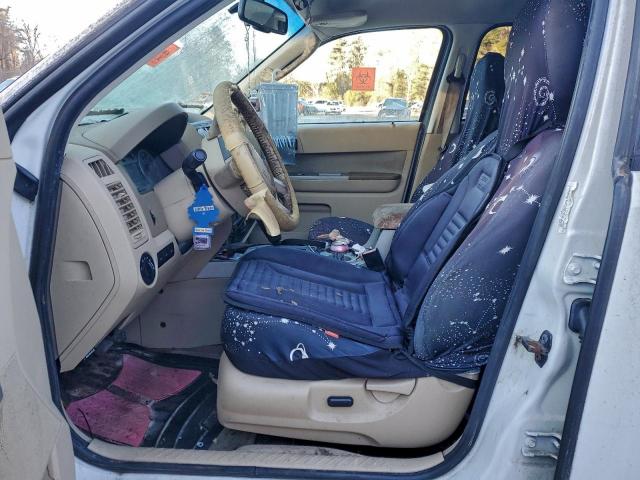 Ford Escape Xlt Image 5