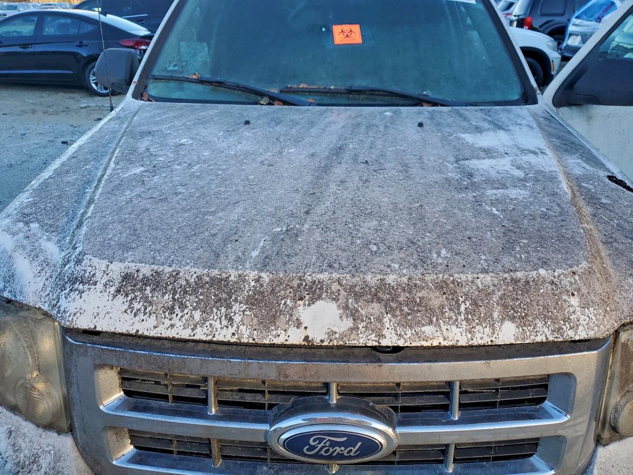 Ford Escape Xlt Image 11